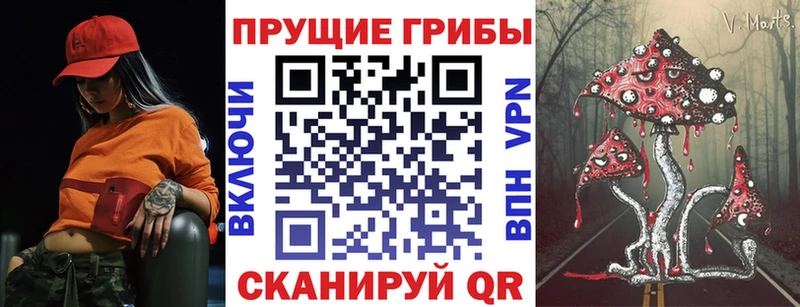 Псилоцибиновые грибы Psilocybine cubensis  Вышний Волочёк 